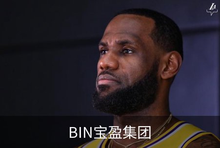 BIN宝盈集团简介