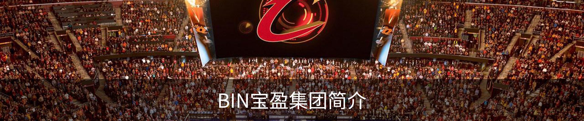 BIN宝盈集团简介
