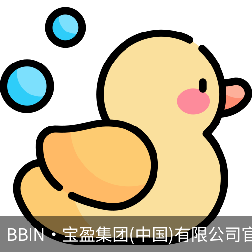 BIN宝盈集团
